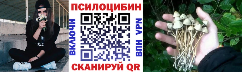 гидра   что такое   Клин  Галлюциногенные грибы мухоморы 